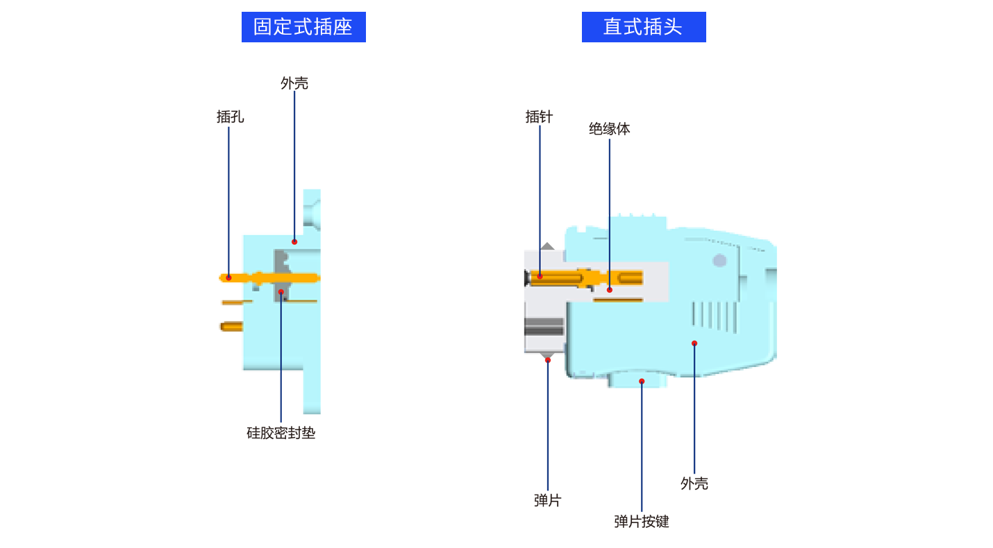 1626681433567374.png 解剖J.png