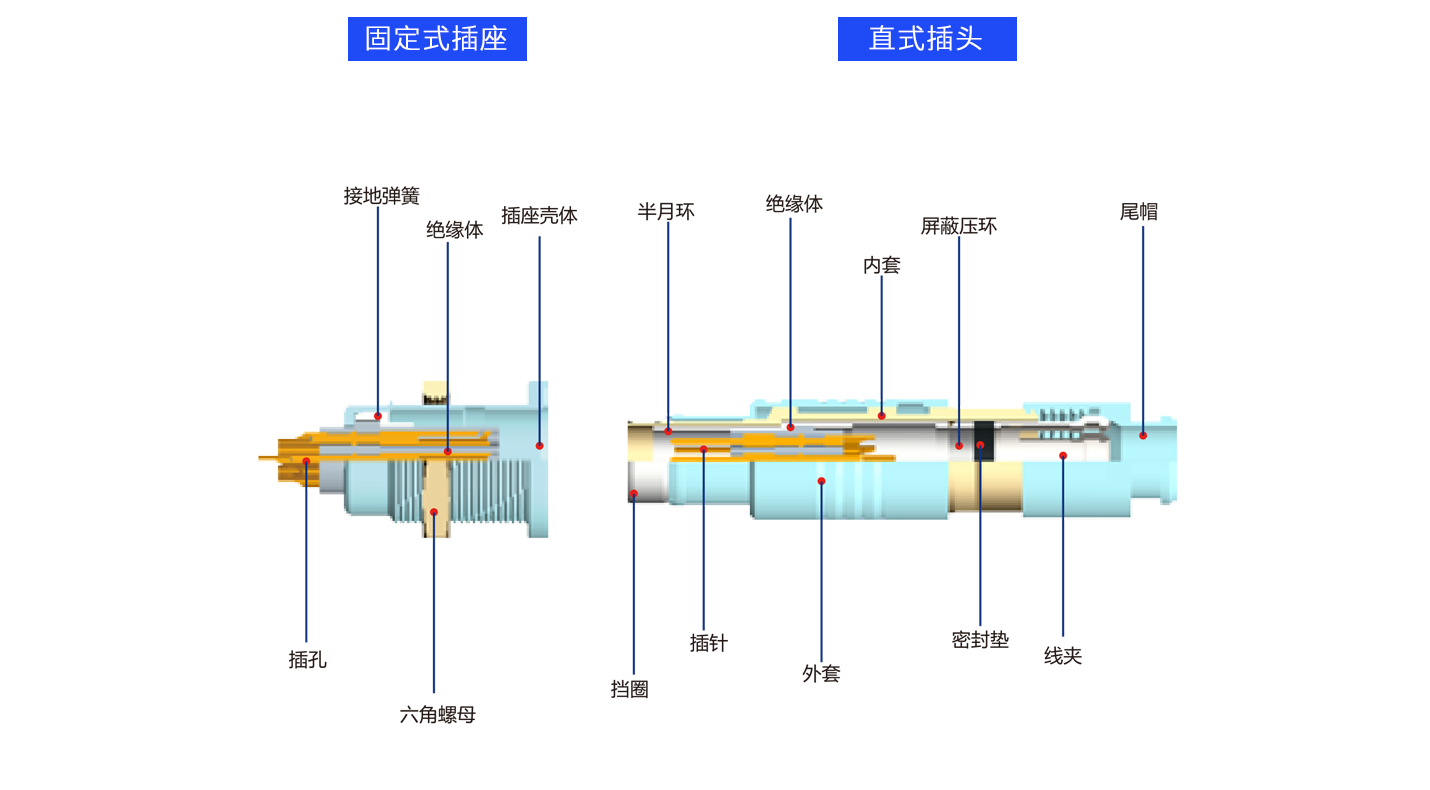 1626683871466206.png 解剖F.png