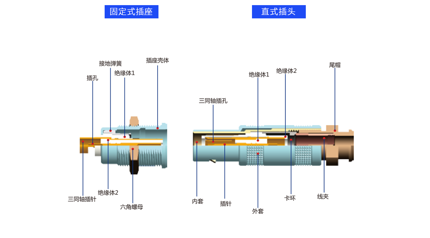 1626684403653179.png 解剖三同軸.png