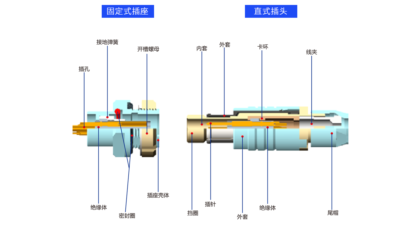 1626685222104618.png 解剖Y.png