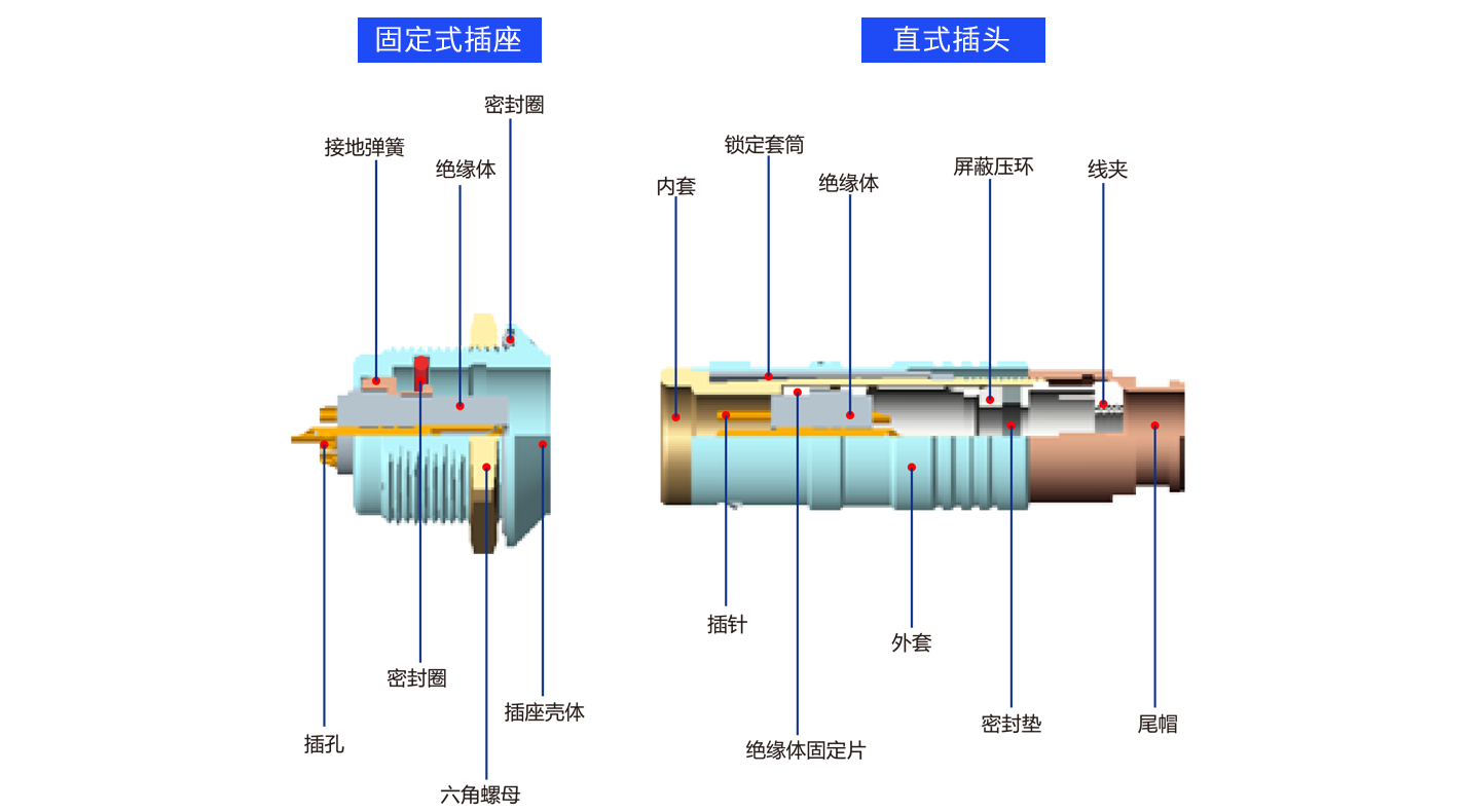 1626685703107127.png 解剖K.png