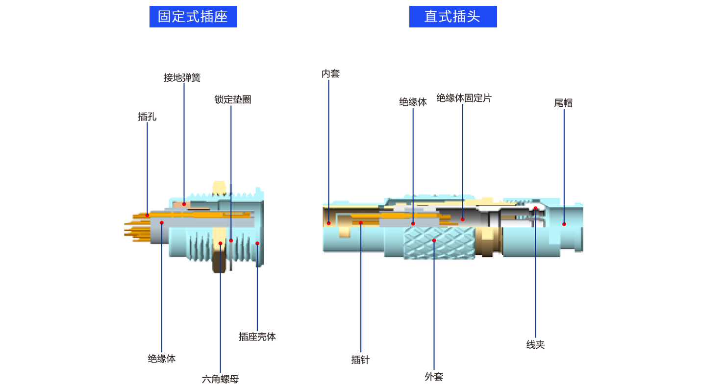 1626686152115540.png 解剖B.png